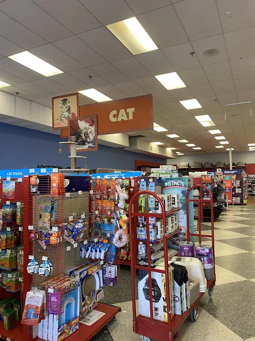 Petco Picture 4