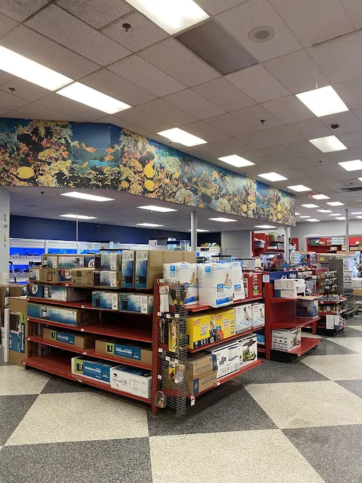Petco Picture 7