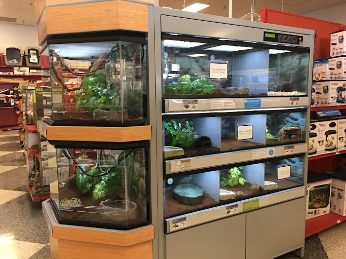 Petco Picture 3