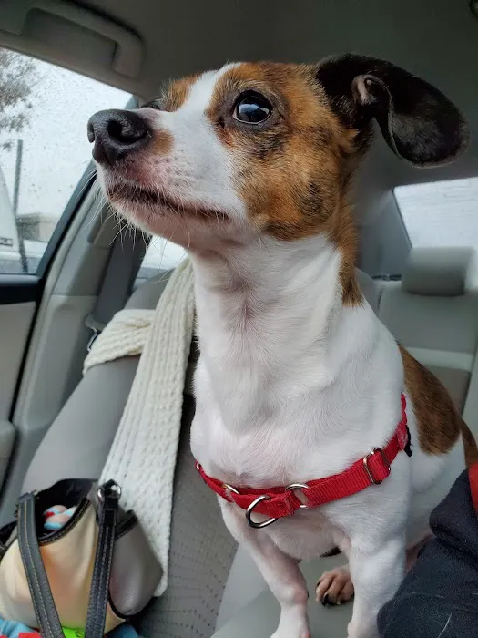 Petco Picture 8