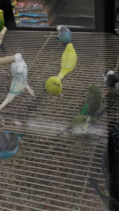 Petco Picture 9