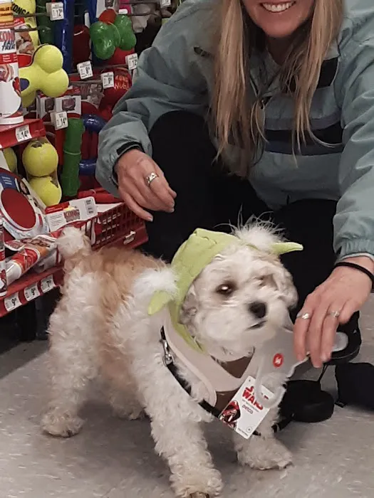 Petco Picture 3