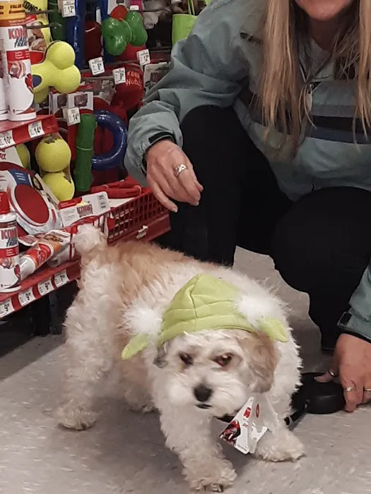 Petco Picture 2