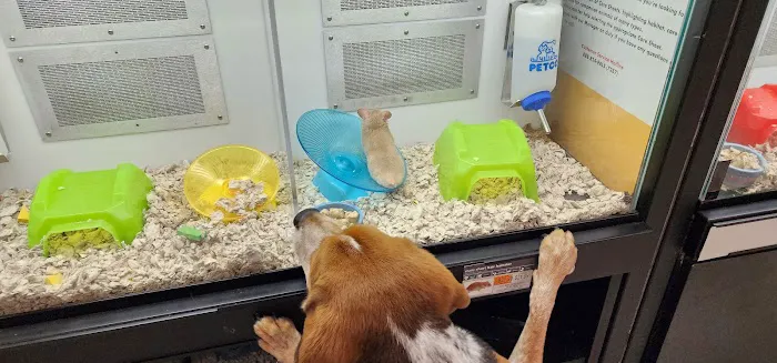 Petco Picture 8