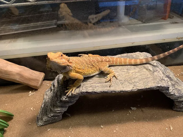 Mike Pet Center LLC Picture 9