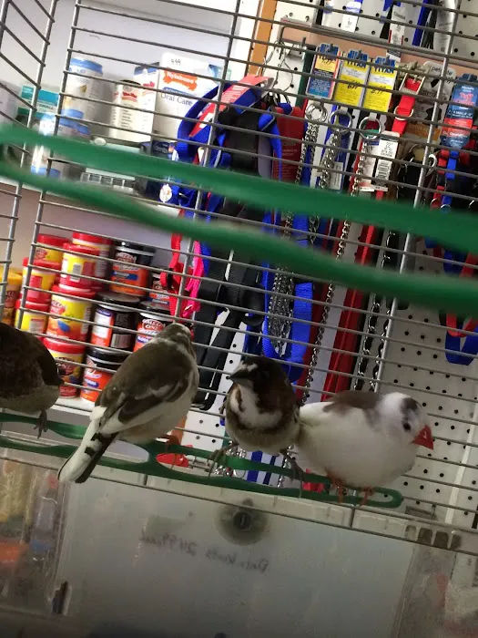 Mike Pet Center LLC Picture 7