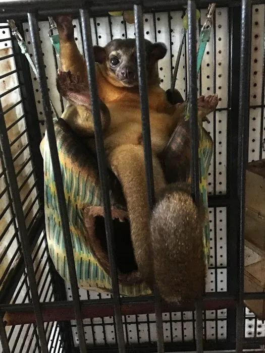 Mike Pet Center LLC Picture 4