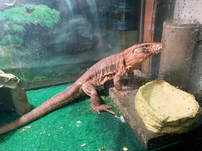 Mike Pet Center LLC Picture 8