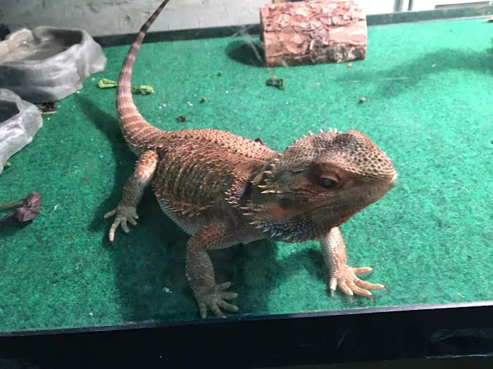 Mike Pet Center LLC Picture 3