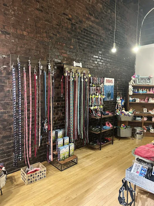 Paws Barkery and Boutique Picture 7