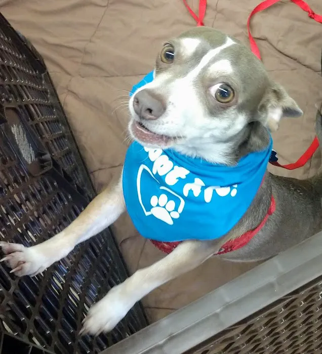 Petco Picture 5