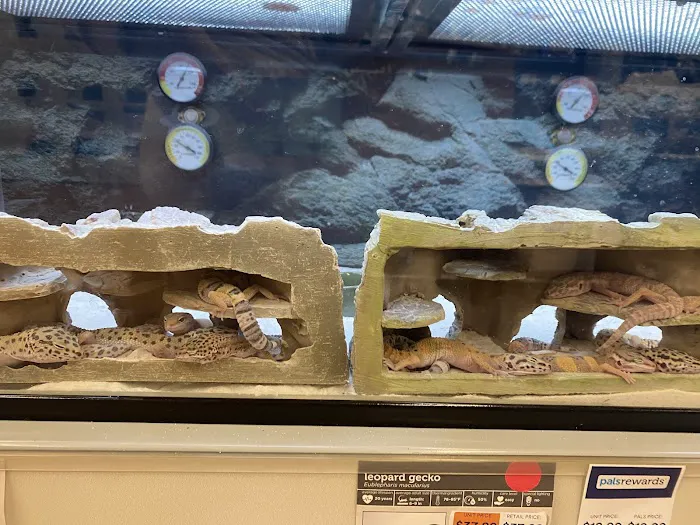 Petco Picture 1