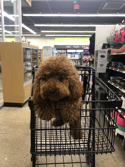 Petco Picture 2