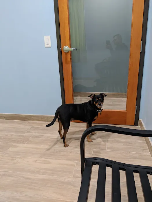 Oak Glen Animal Hospital Picture 4