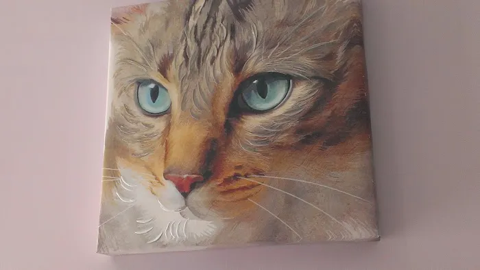 Oak Glen Animal Hospital Picture 9