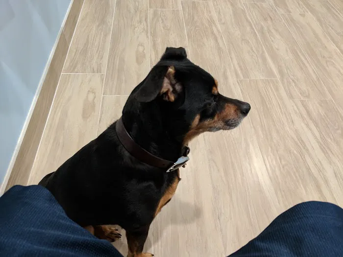 Oak Glen Animal Hospital Picture 5