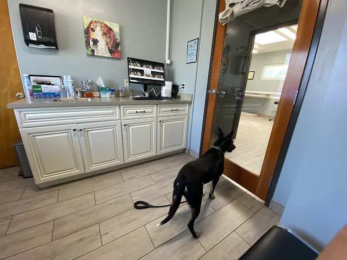 Green Valley Veterinary Clinic Picture 5