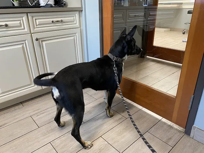 Green Valley Veterinary Clinic Picture 7