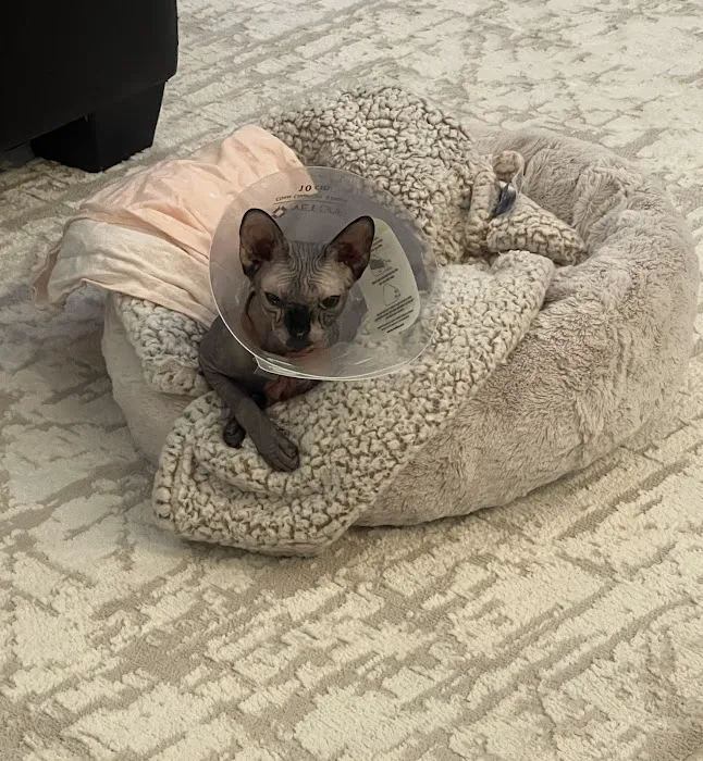 Oak Valley Animal Hospital Picture 1