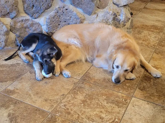 Oak Valley Animal Hospital Picture 5