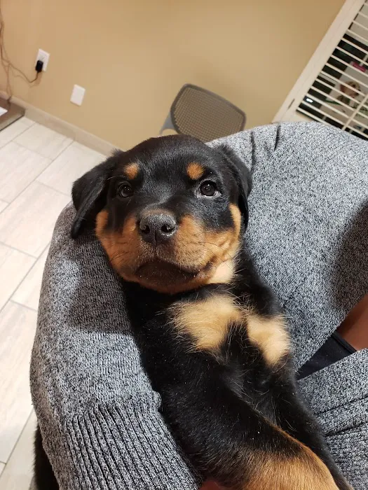 Oak Valley Animal Hospital Picture 3