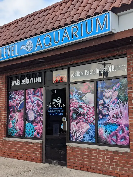 Sea Level Aquarium Picture 5