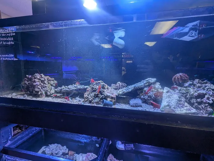 Sea Level Aquarium Picture 9
