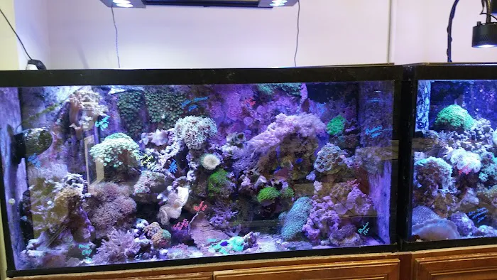 Sea Level Aquarium Picture 6