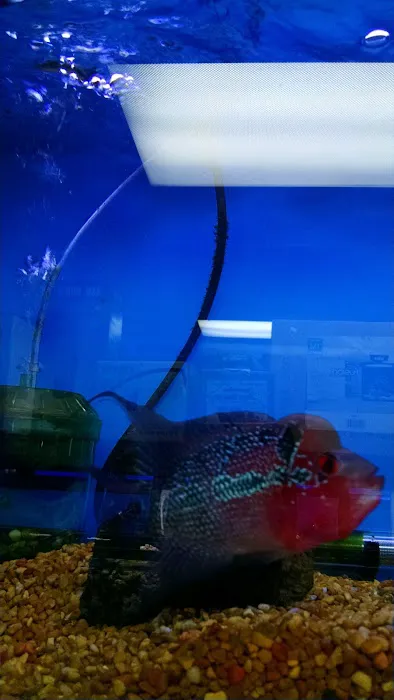 Sea Level Aquarium Picture 2