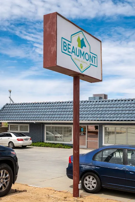 Beaumont Animal Hospital Picture 8