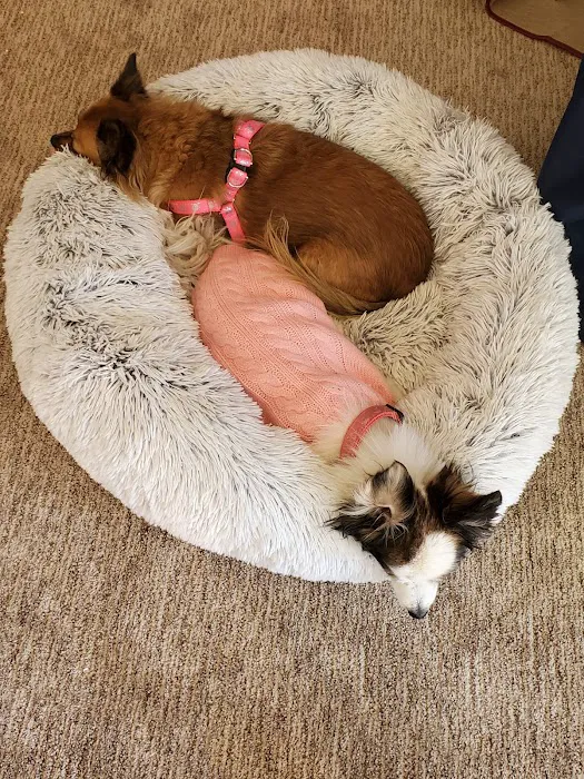 Beaumont Animal Hospital Picture 1