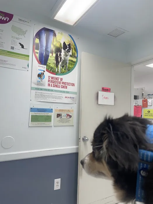 Beaumont Animal Hospital Picture 6