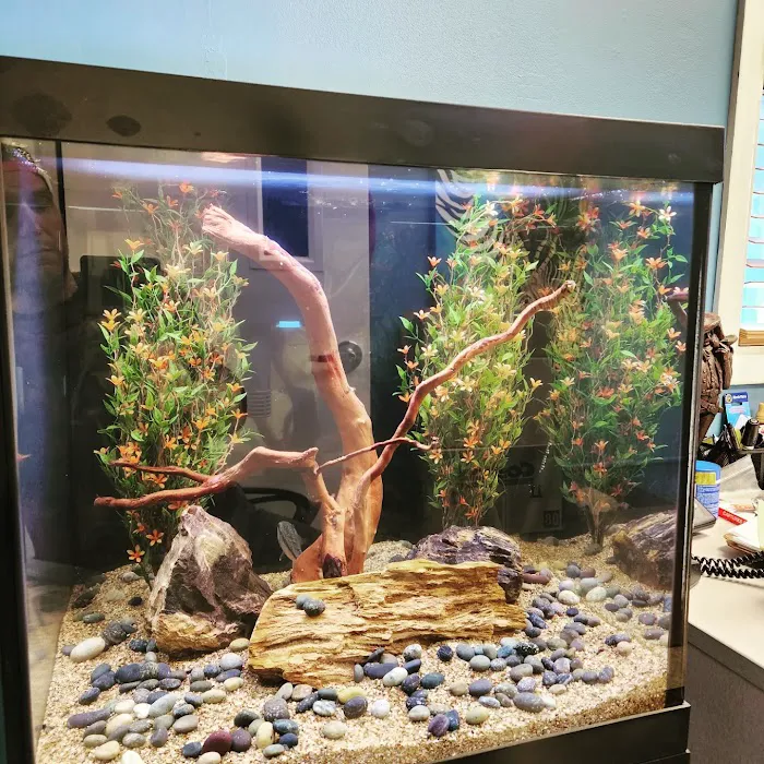 Anchor Aquarium Freshwater Fish & Maintenance Picture 9