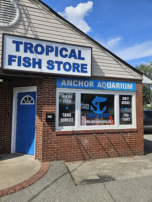 Anchor Aquarium Freshwater Fish & Maintenance Picture 6
