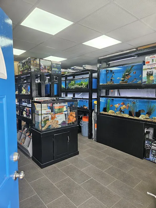 Anchor Aquarium Freshwater Fish & Maintenance Picture 5
