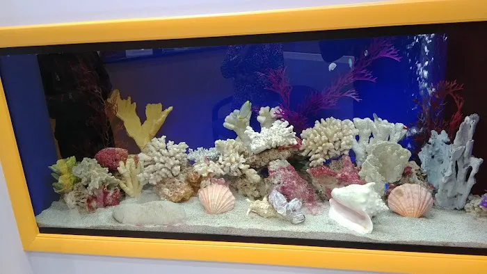 Anchor Aquarium Freshwater Fish & Maintenance Picture 8