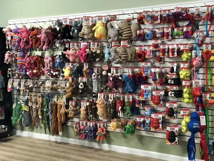 Well Bred - The Healthy Pet Marketplace, Self Wash & DOG GROOMERS Picture 10