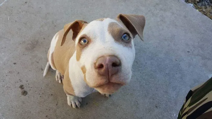 Haven Animal Hospital Picture 6