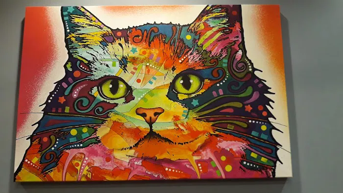 Haven Animal Hospital Picture 9