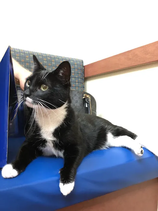 Haven Animal Hospital Picture 2
