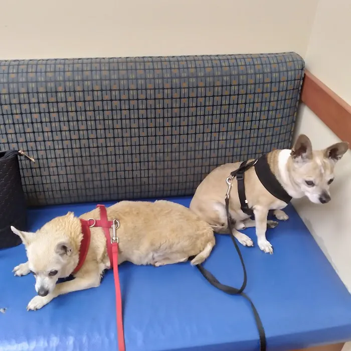 Haven Animal Hospital Picture 7