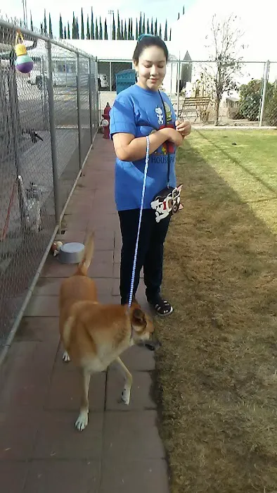 Animal Medical Center Picture 6
