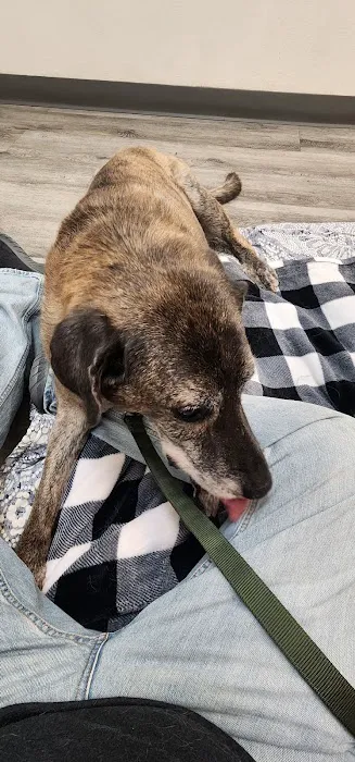 Animal Medical Center Picture 2