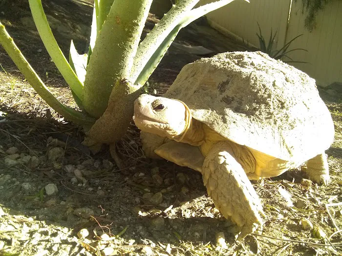 Animal Medical Center Picture 8
