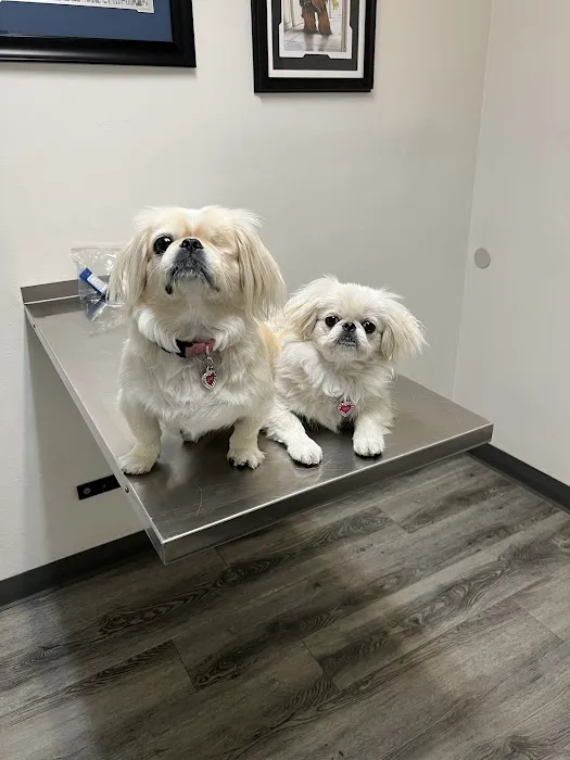 Animal Medical Center Picture 7