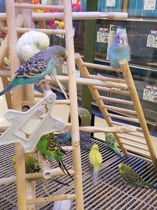 Petco Picture 8