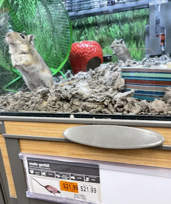 Petco Picture 10