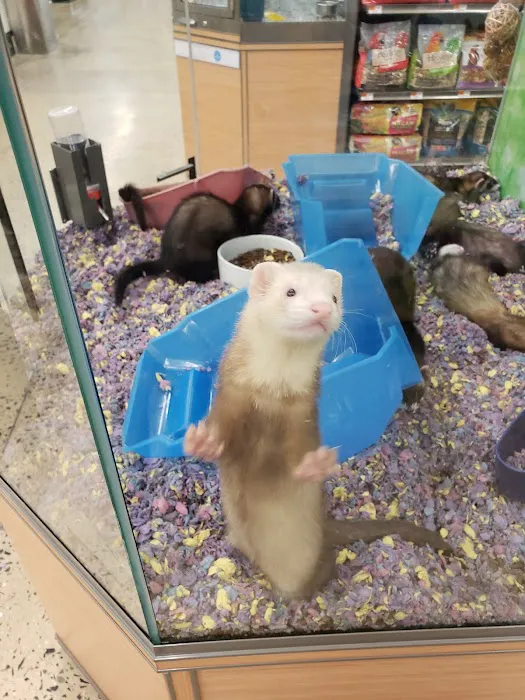 Petco Picture 7