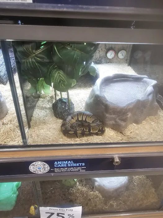 Petco Picture 9