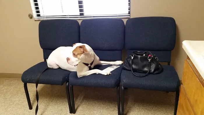 Acacia Animal Hospital Picture 5
